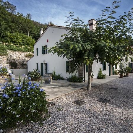 Agriturismo Le Volpi Baone Екстериор снимка