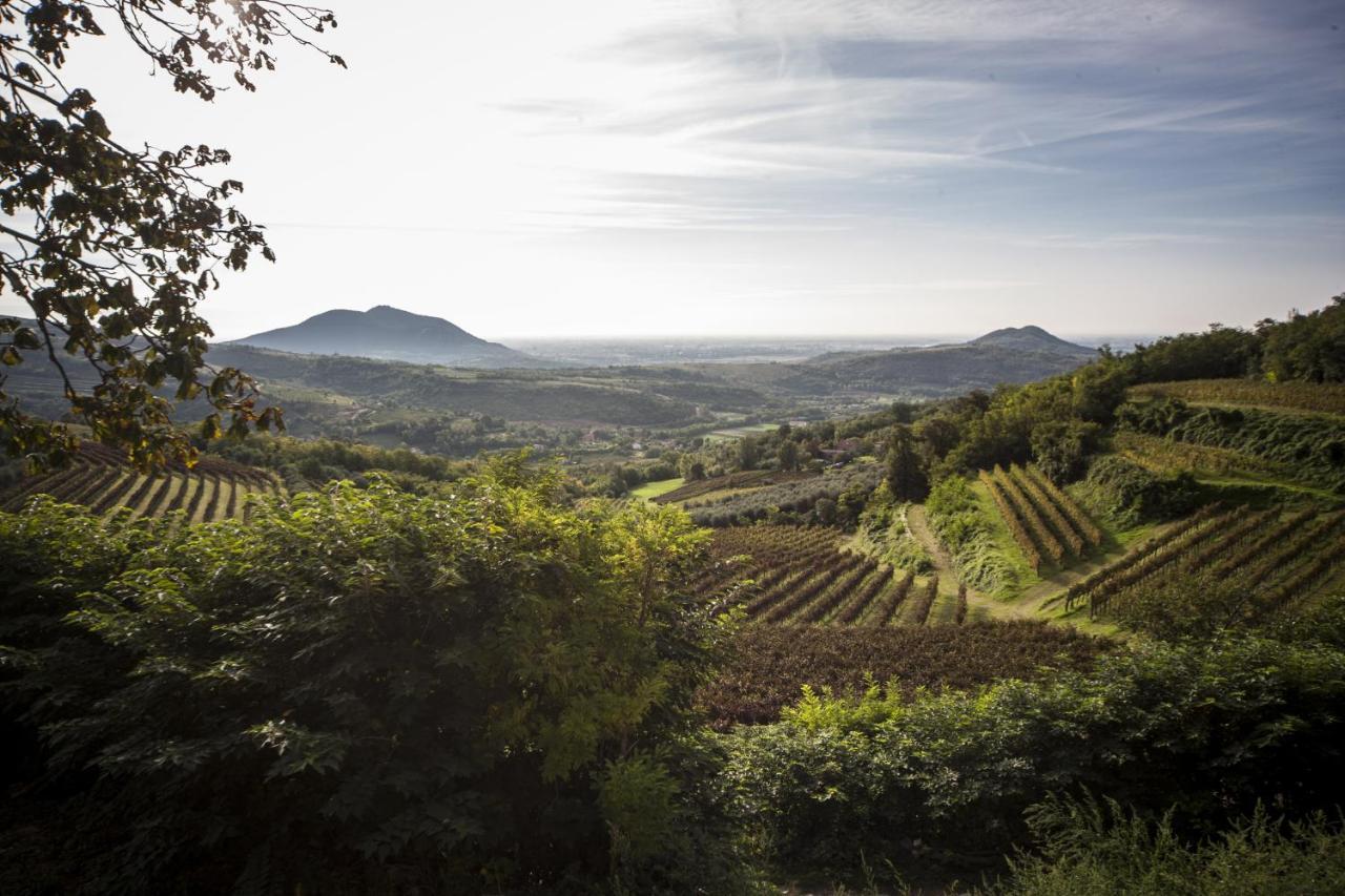 Agriturismo Le Volpi Baone Екстериор снимка